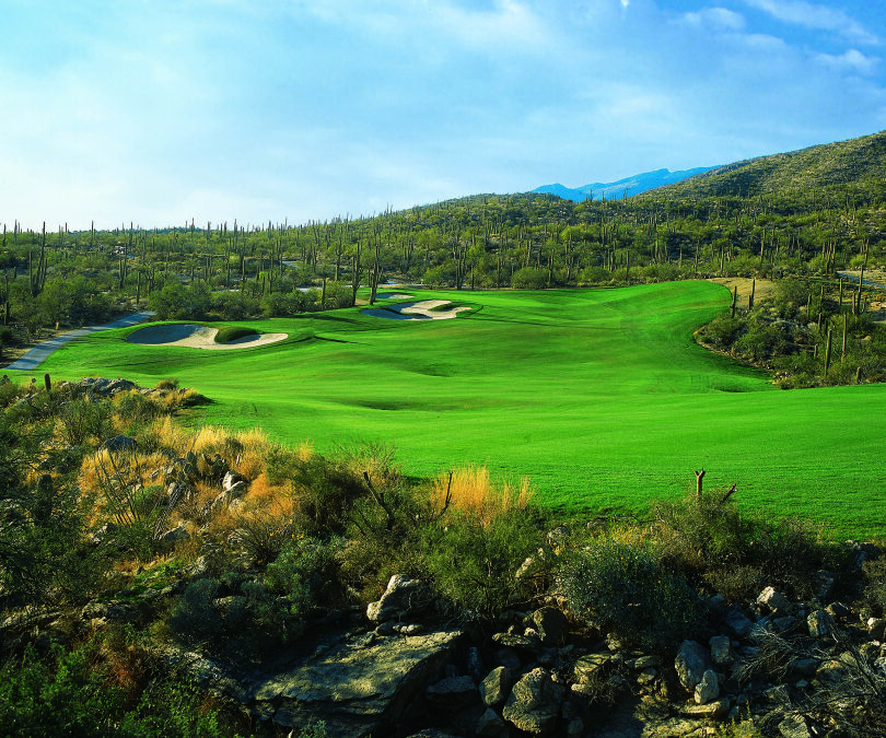 Arizona National: Tucson’s Sonoran Desert Superstar