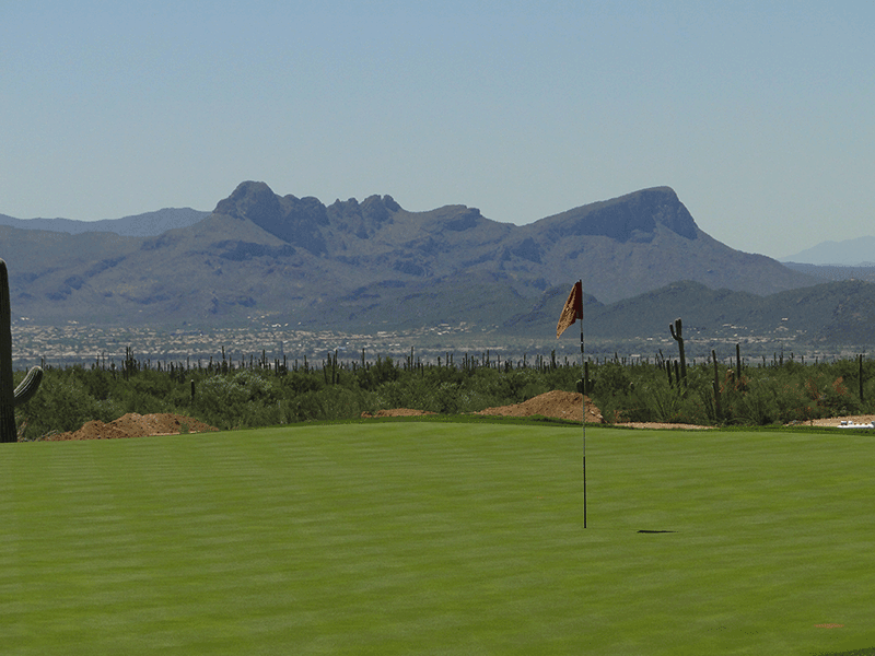 Three Culprits of Slow Play